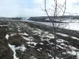 Коттедж с 2 комнатами