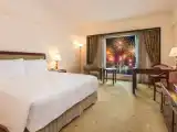Двухместный номер Deluxe с видом на город