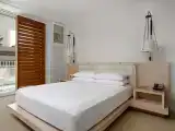 Двухместный номер Premier с балконом и с видом на город