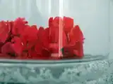 Номер Стандарт с видом на море