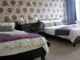 Трёхместный номер Deluxe с видом на горы