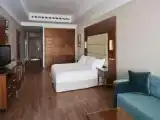 Двухместный номер Executive Superior