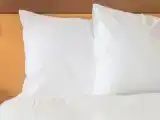 Студия Стандарт