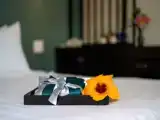 Семейный номер Стандарт с видом на сад