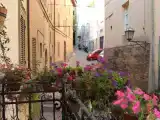 Run of House