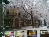Номер Стандарт