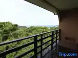 Номер Стандарт с видом на океан