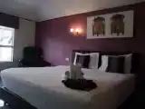 Номер Стандарт с видом на город