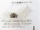 Одноместный номер Стандарт c 1 комнатой