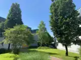 Одноместный номер Стандарт