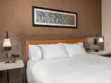 Двухместный номер Hearing Accessible