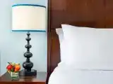 Двухместный номер Premium с видом на сад