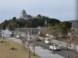 Номер Superior