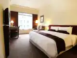 Двухместный номер Deluxe с видом на город