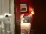 Одноместный номер Classic