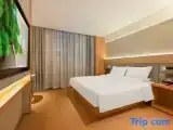 Номер Superior