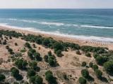 Номер Стандарт с видом на море
