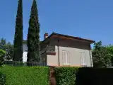 Run of House
