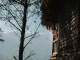 Бунгало с панорамным видом