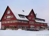 Трёхместный номер Pet Friendly