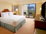 Двухместный номер Resort View