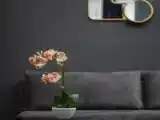 Номер Стандарт
