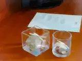 Одноместный номер Стандарт