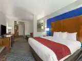 Двухместный люкс Business