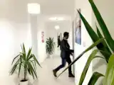 Апартаменты c 1 комнатой