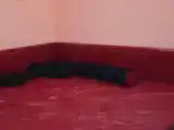 Кровать в общем номере