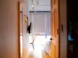 Двухместный номер Superior
