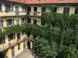 Run of House