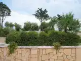 Двухместный номер Эконом