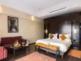 Двухместный номер Premium с видом на сад
