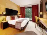 Номер Premium