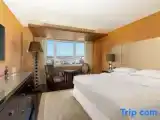 Двухместный клубный люкс Executive