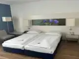 Двухместный номер Business