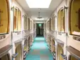 Мужская капсула