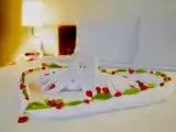 Номер Стандарт