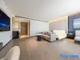 Номер Privilege