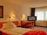 Одноместный номер Эконом