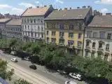 Run of House