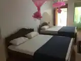 Семейный номер Стандарт с видом на сад