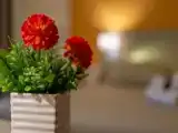 Четырёхместный номер Superior