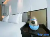 Двухместный номер Стандарт с видом на город