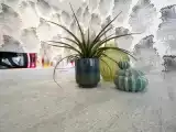 Одноместный семейный люкс с 2 комнатами