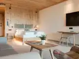 Полулюкс с видом на горы