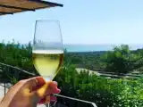 Двухместный номер Deluxe с видом на море