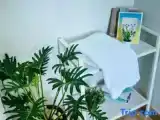 Одноместный номер Стандарт