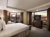 Люкс Presidential c 1 комнатой